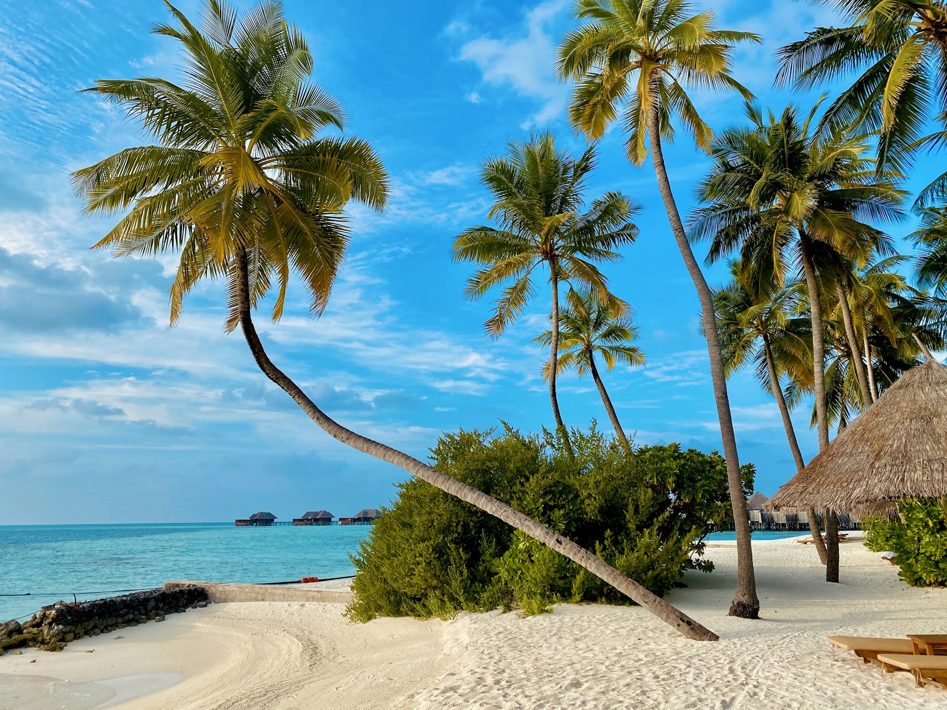 Zanzibar coast at golden hour